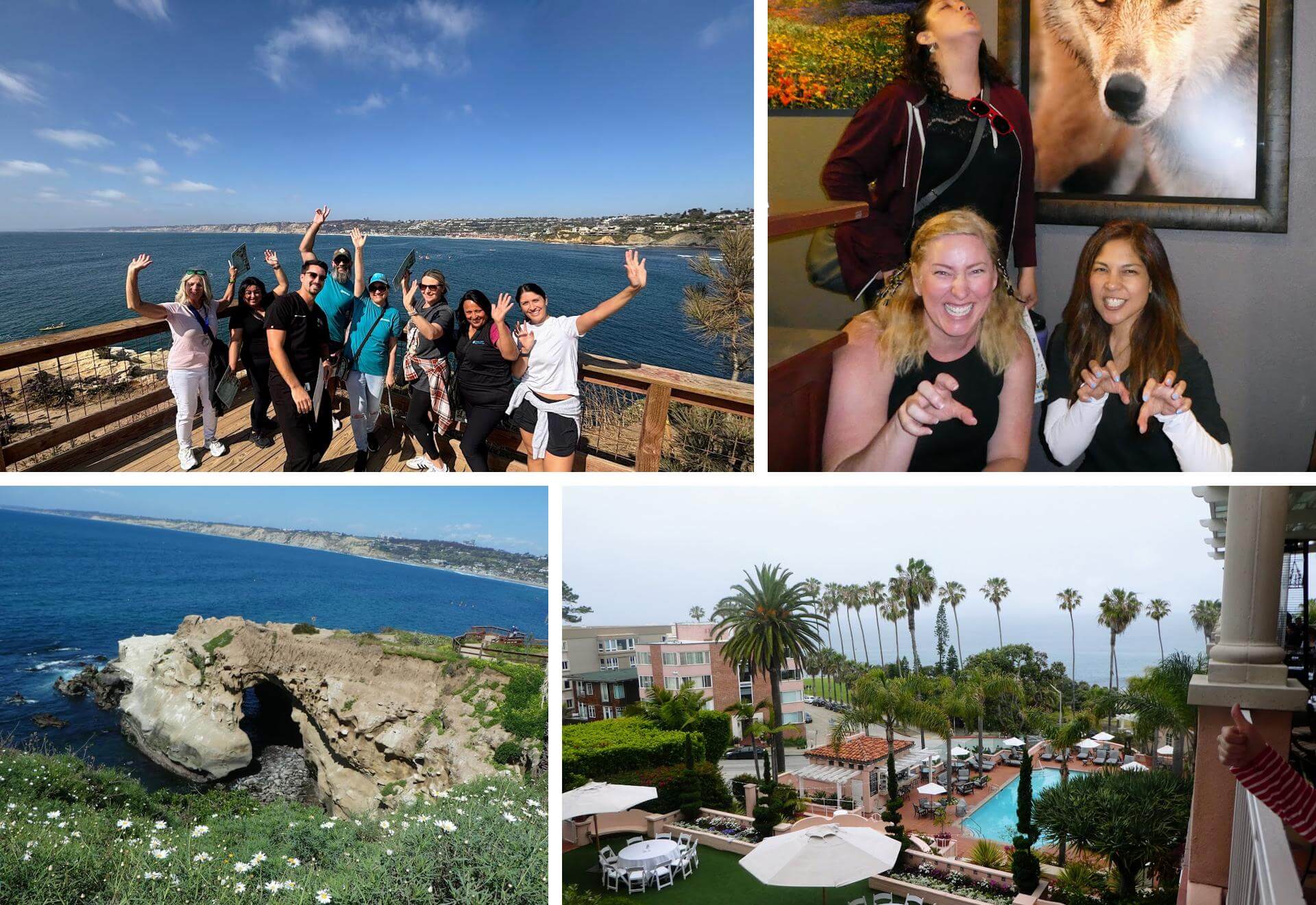 La Jolla Collage