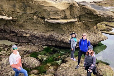 Wellness Walks